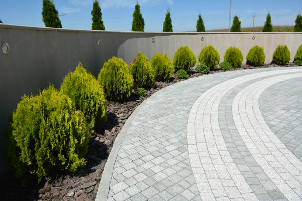 Best Custom Driveway Pavers  in Clifton Springs, NY